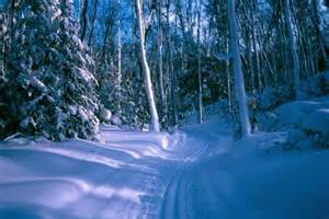 No experience necessary - just come along with us.  We will take you out into the magical silence of winter wonderland. 