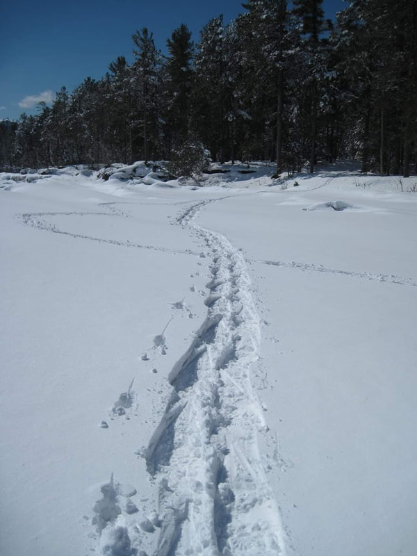 Snowshoes will allow you to go places you cannot go to in the summer. After a fresh snowfall your tracks might be the only ones in the undisturbed snow cover. It makes you feel like you are an explorer at the end of the world.